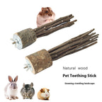 MYLOVELYPET Natural Applewood Chew Sticks – Small Pet Enrichment – supplier product photo 2