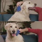 MYLOVELYPET Flexible Silicone Grooming Brush – Dog Hair Cleanup – supplier product photo 5